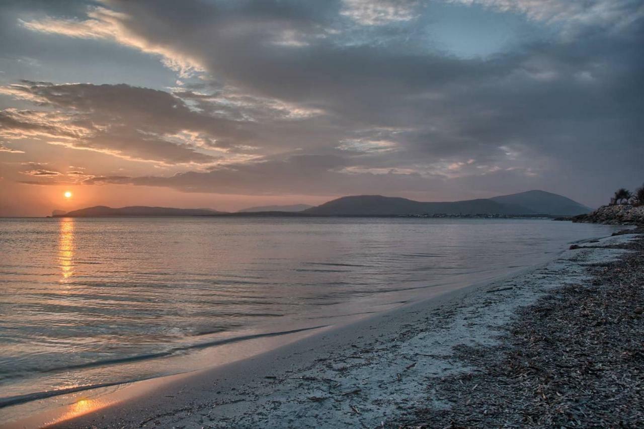 Zona Residenziale, Appartamento Incantevole Vista Mare Via Antonio Gramsci, 18, 07041 Alghero Ss Buitenkant foto